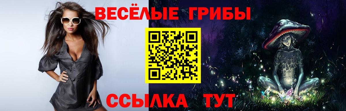 Галлюциногенные грибы ЛСД Карпинск